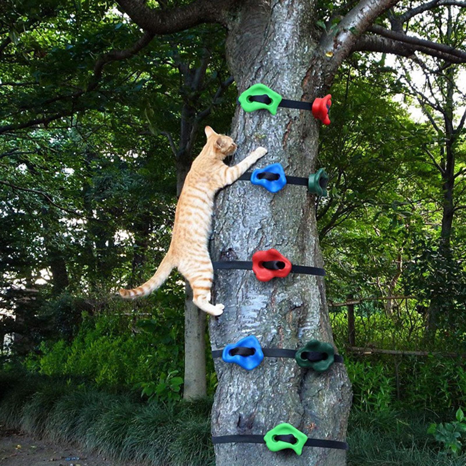 Outdoor-Klettergeräte, verstel – Kids Outdoor Obstacle Course Equipment Bewertung und Preis