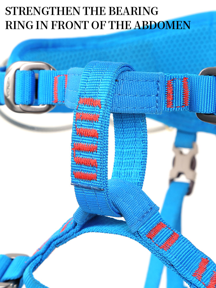 Xinda Kinder Halb Körper Siche – Kids Outdoor Climber Bewertung und Preis
