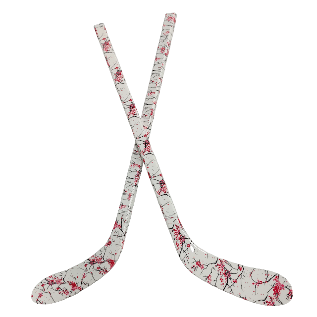 Langlebiges ABS-Eishockeystick – Kids Outdoor Hockey Set Bewertung und Preis